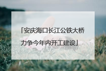 安庆海口长江公铁大桥力争今年内开工建设