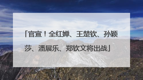 官宣！全红婵、王楚钦、孙颖莎、潘展乐、郑钦文将出战
