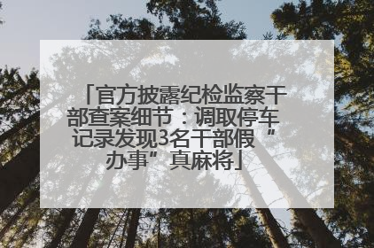 官方披露纪检监察干部查案细节：调取停车记录发现3名干部假“办事”真麻将