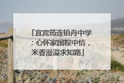 宜宾筠连镇舟中学：心怀家国粽中情，米香漫溢求知路
