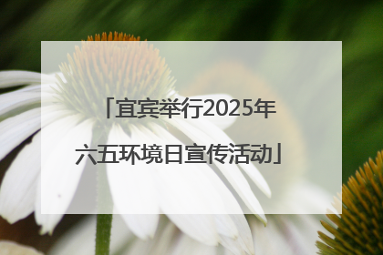 宜宾举行2025年六五环境日宣传活动