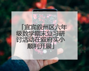 宜宾叙州区六年级数学期末复习研讨活动在叙府实小顺利开展