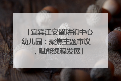 宜宾江安留耕镇中心幼儿园：聚焦主题审议，赋能课程发展