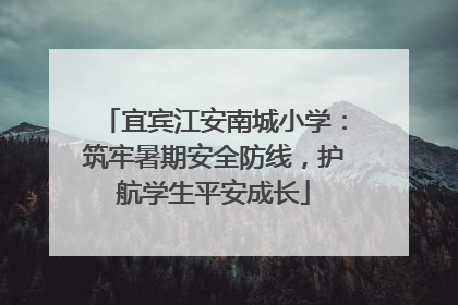 宜宾江安南城小学：筑牢暑期安全防线，护航学生平安成长
