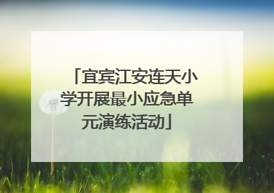 宜宾江安连天小学开展最小应急单元演练活动