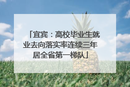 宜宾：高校毕业生就业去向落实率连续三年居全省第一梯队