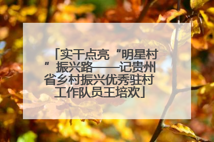 实干点亮“明星村”振兴路——记贵州省乡村振兴优秀驻村工作队员王培欢