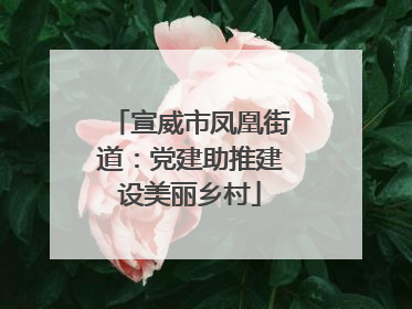 宣威市凤凰街道：党建助推建设美丽乡村