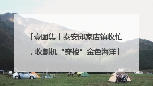 壹图集丨泰安邱家店镇收忙，收割机“穿梭”金色海洋