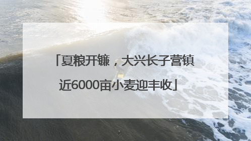 夏粮开镰，大兴长子营镇近6000亩小麦迎丰收
