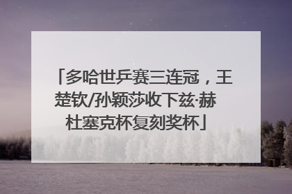 多哈世乒赛三连冠，王楚钦/孙颖莎收下兹·赫杜塞克杯复刻奖杯