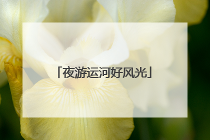 夜游运河好风光