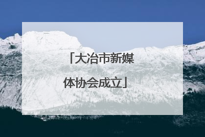 大冶市新媒体协会成立