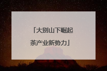 大别山下崛起茶产业新势力