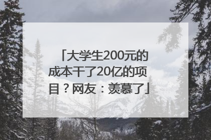 大学生200元的成本干了20亿的项目？网友：羡慕了