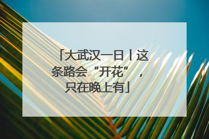 大武汉一日丨这条路会“开花”，只在晚上有