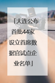 大连公布首批44家设立首席数据官试点企业名单