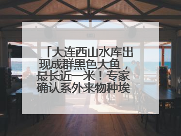 大连西山水库出现成群黑色大鱼，最长近一米！专家确认系外来物种埃及塘鲺