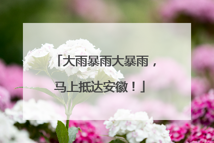 大雨暴雨大暴雨，马上抵达安徽！