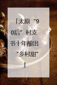 太原“90后”村支书十年酿出“乡村甜”