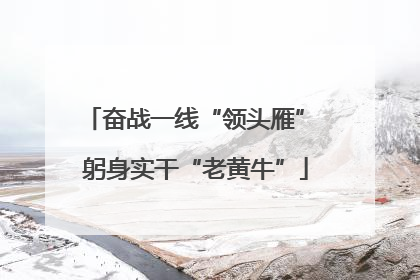 奋战一线“领头雁” 躬身实干“老黄牛”