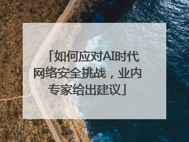 如何应对AI时代网络安全挑战，业内专家给出建议