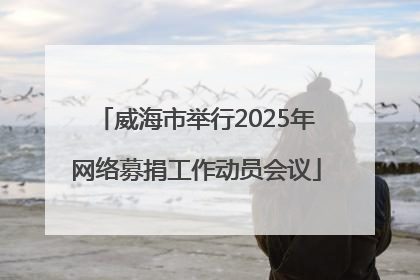 威海市举行2025年网络募捐工作动员会议