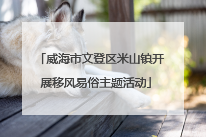 威海市文登区米山镇开展移风易俗主题活动