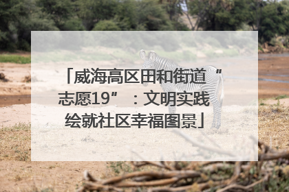 威海高区田和街道“志愿19”：文明实践绘就社区幸福图景
