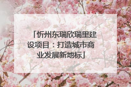 忻州东瑞欣瑞里建设项目：打造城市商业发展新地标