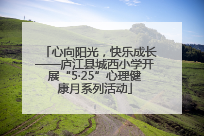 心向阳光，快乐成长——庐江县城西小学开展“5·25”心理健康月系列活动