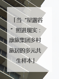 当“星露谷”照进现实：康旅集团乡村旅居的多元共生样本