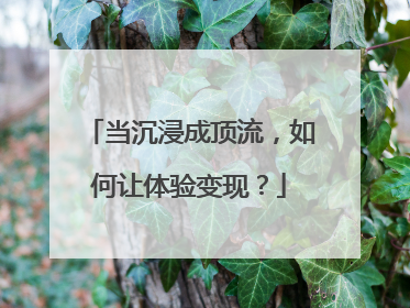 当沉浸成顶流，如何让体验变现？