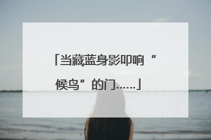 当藏蓝身影叩响“候鸟”的门……