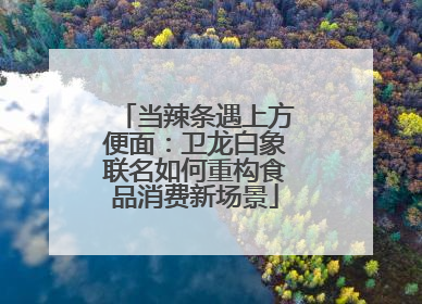当辣条遇上方便面：卫龙白象联名如何重构食品消费新场景