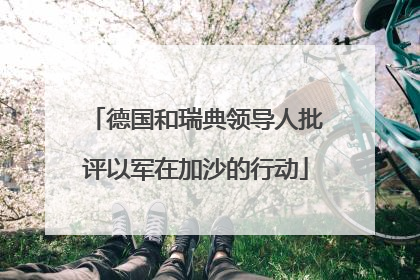 德国和瑞典领导人批评以军在加沙的行动