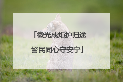 微光成炬护归途 警民同心守安宁