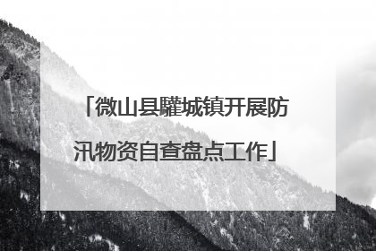 微山县驩城镇开展防汛物资自查盘点工作