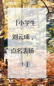 小学生刘云成，点名表扬！