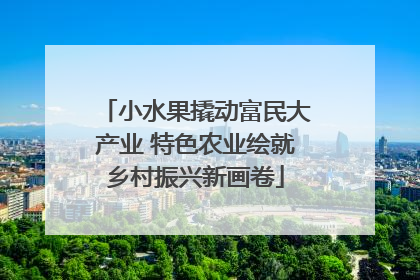 小水果撬动富民大产业 特色农业绘就乡村振兴新画卷