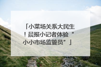 小菜场关系大民生！晨报小记者体验“小小市场监管员”