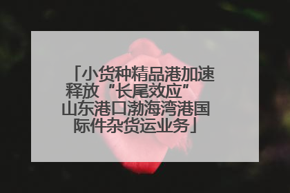 小货种精品港加速释放“长尾效应” 山东港口渤海湾港国际件杂货运业务