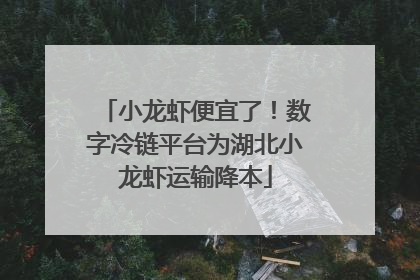 小龙虾便宜了！数字冷链平台为湖北小龙虾运输降本