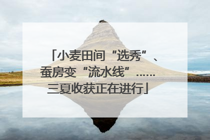 小麦田间“选秀”、蚕房变“流水线”……三夏收获正在进行