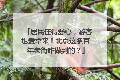 居民住得舒心，游客也爱常来！北京这条百年老街咋做到的？