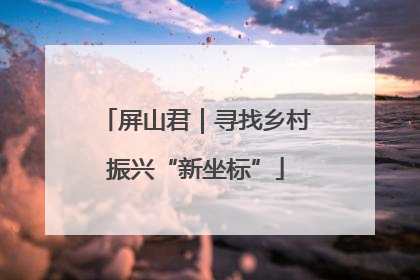 屏山君｜寻找乡村振兴“新坐标”