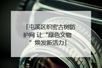 屯溪区织密古树防护网 让“绿色文物”焕发新活力