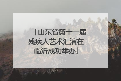 山东省第十一届残疾人艺术汇演在临沂成功举办