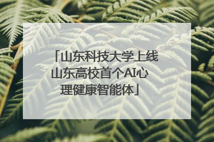 山东科技大学上线山东高校首个AI心理健康智能体