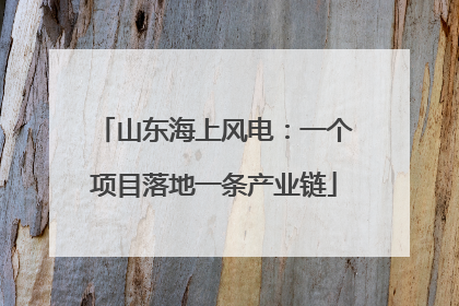山东海上风电：一个项目落地一条产业链